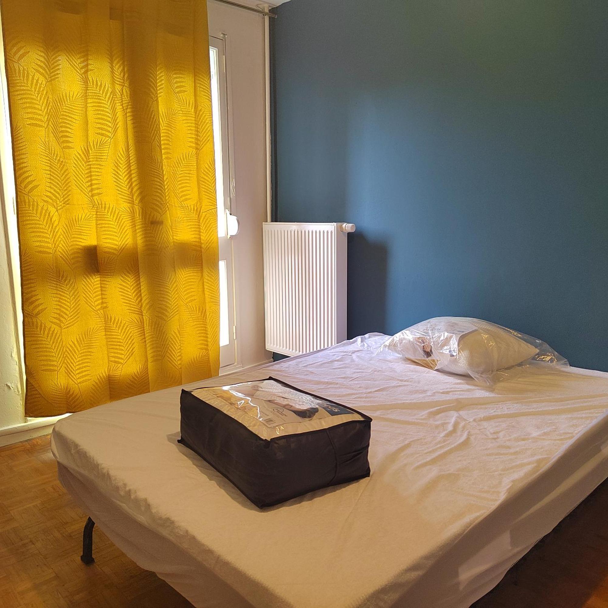 Chambre Dans Un Appartement En Colocation Rennes Ngoại thất bức ảnh